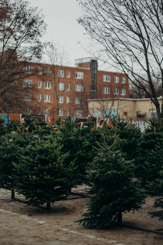 Green Trees Near Brown Concrete Building